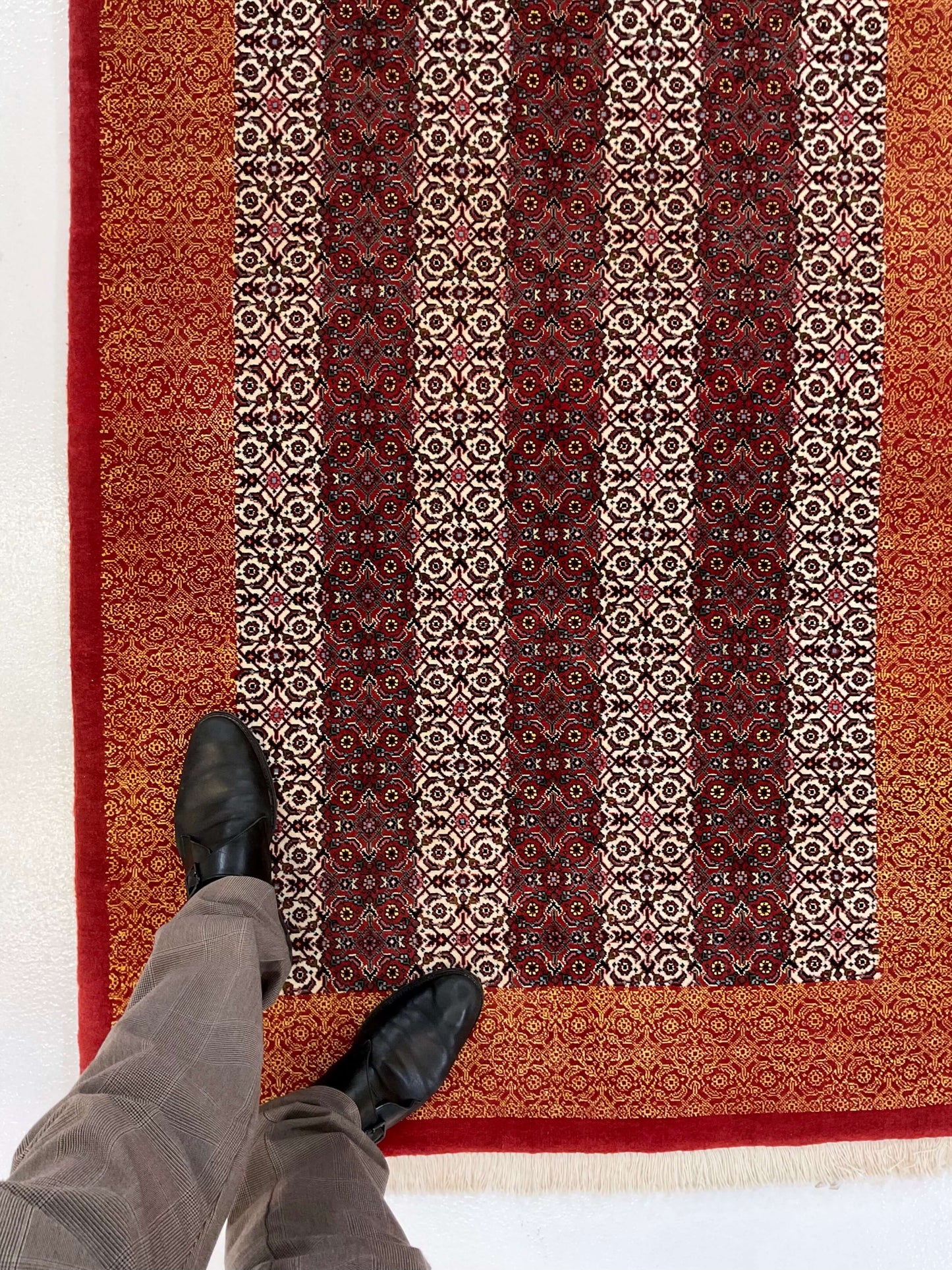 Bijar Herati w. silk 3'05" x 5'01 red/ivo/ora