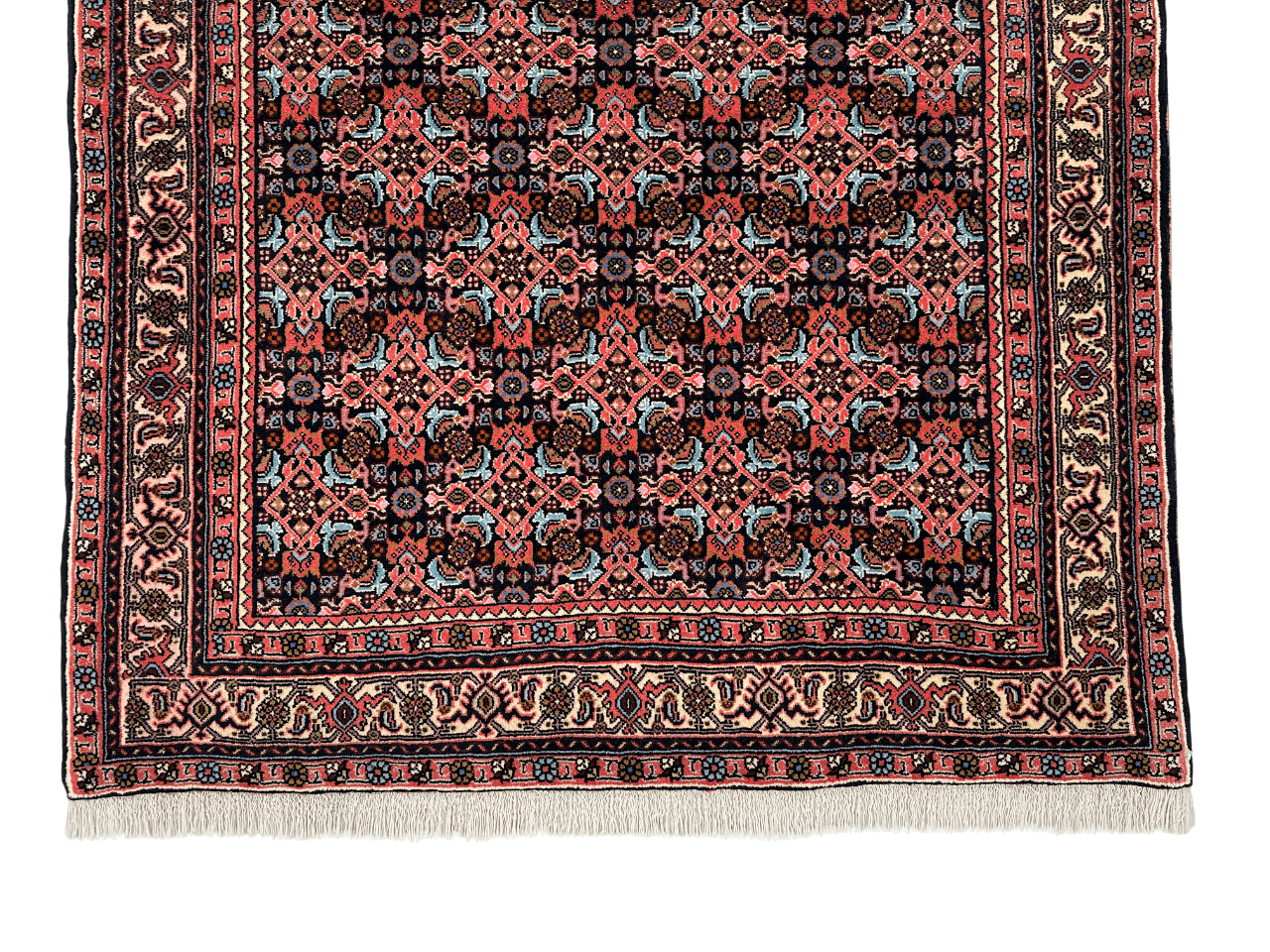 Bijar Herati 3'08"x5'09" navy/ivory