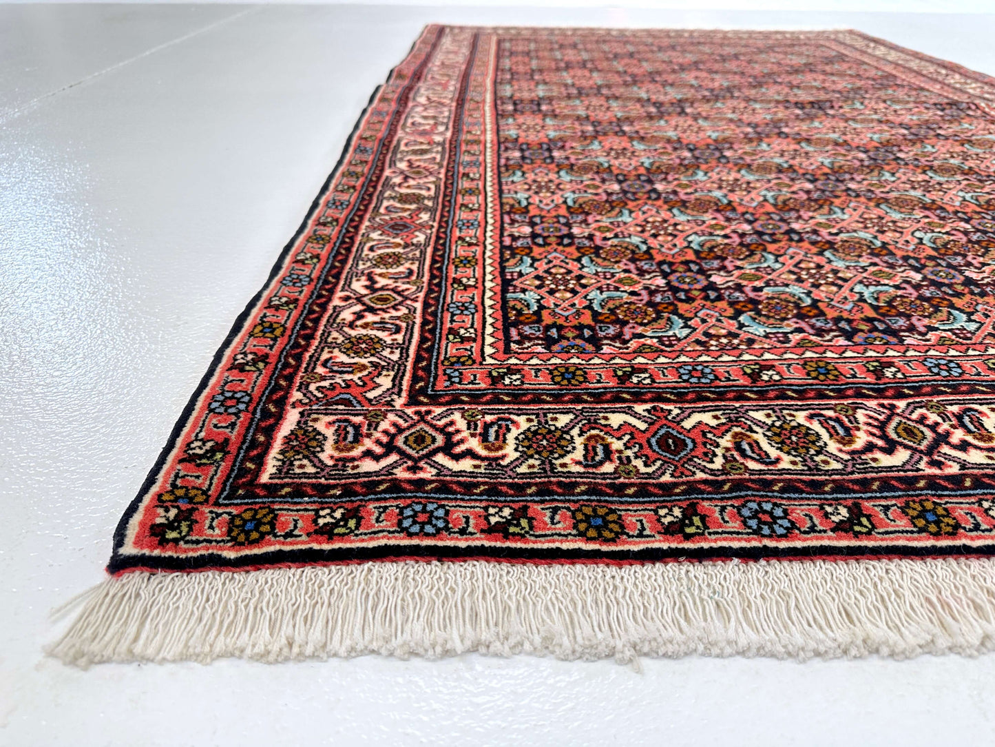 Bijar Herati 3'08"x5'09" navy/ivory