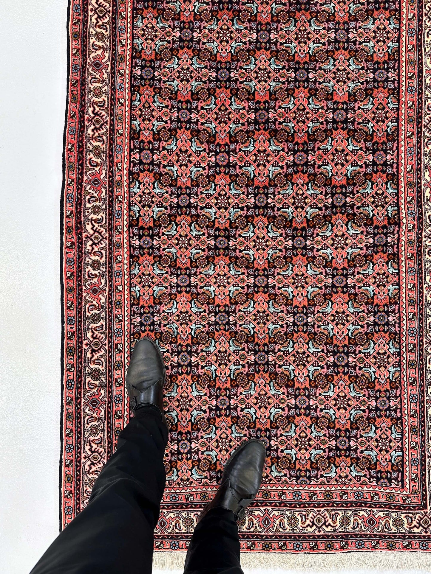 Bijar Herati 3'08"x5'09" navy/ivory