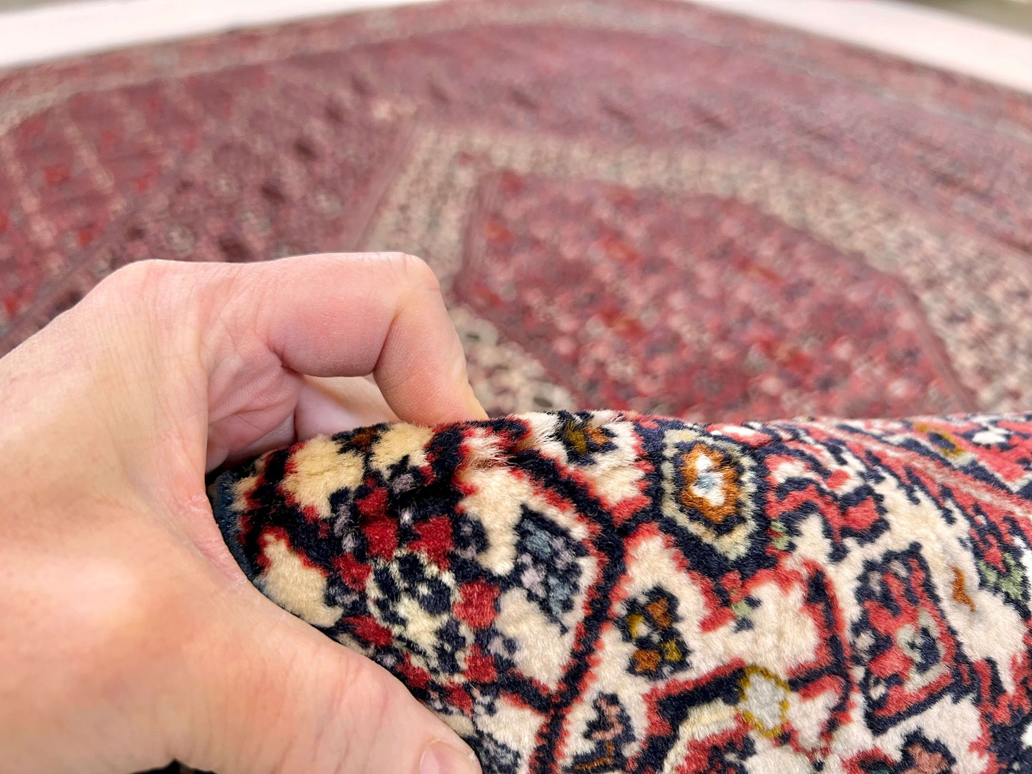 Bijar 6'07"x9'05" blu/red