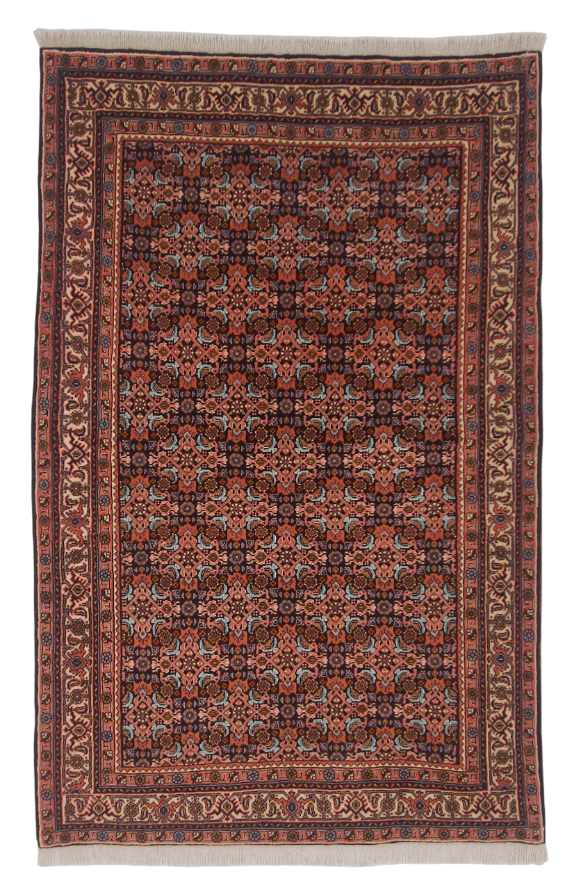 Bijar Herati 3'08"x5'09" navy/ivory